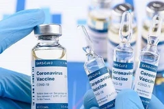 Vietnam supports equitable COVID-19 vaccine distribution, human rights protection