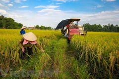 Minister: Vietnam looks towards sustainable agriculture
