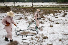 Quang Tri targets 3,000ha of land freed from UXO each year
