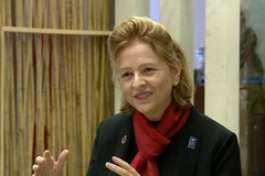 UNDP vows to accompany Vietnam in development process 