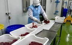 ASEAN trade recovery may be impacted by new Omicron variant