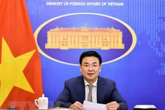 Vietnam further promotes multifaceted cooperation with African countries