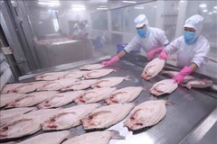 EVIPA ensures FDI flow in medium to long term