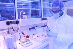 Ambassador lauds Vietnam - IAEA ties in peaceful application of nuclear technology