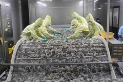 Kien Giang enjoys over 7 percent growth in export revenue