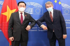 Top leaders of Vietnamese, European parliaments hold talks