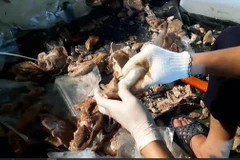 Vietnam busts drug ring involving Taiwanese