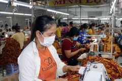 Tra Vinh provides SMEs with support package of 8.5 billion VND