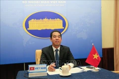 Local diplomacy contributes to overall success of country's foreign affairs