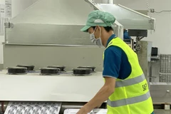 Binh Duong sees high trade growth