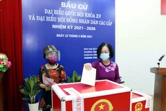 Incumbent, former top officials head to polls in Hanoi