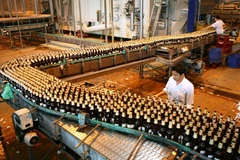 Beer companies report mixed performance in Q2