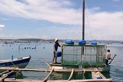 Vietnam striving to promote sustainable marine aquaculture development
