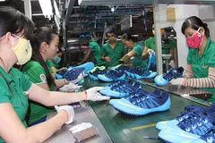 Vietnam footwear exports to EU grow