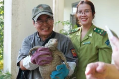 Three central localities see wildlife violation reduction
