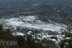 Bat Xat district's Y Ty commune covered with snow (Photo: VNA)