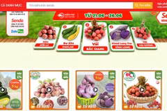Farmers utilise e-commerce to boost sale of agricultural products