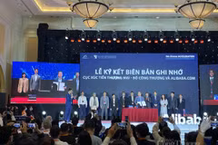 Vietrade, Alibaba.com partner to help firms with online export