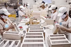 Foreign capital injected in wood industry down 36 percent in 2020 