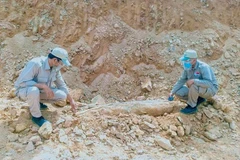 Quang Tri: Big bomb in residential area safely handled