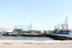 EC recognises Vietnam’s efforts to fight IUU, to conduct inspection in Q1, 2022
