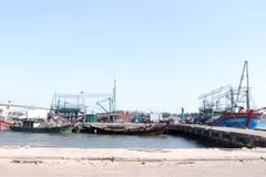 EC recognises Vietnam’s efforts to fight IUU, to conduct inspection in Q1, 2022