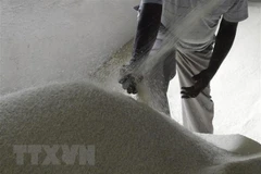Bangladesh approves proposal to import rice from Vietnam