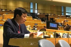 Vietnam backs initiatives to promote Middle East peace process: ambassador 