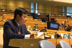 Vietnam backs initiatives to promote Middle East peace process: ambassador 