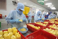 EVFTA fuels Vietnam’s imports from EU