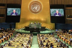 Vietnam takes active part in multilateral cooperation mechanisms in 2021