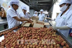 Export turnover grows 30.7 percent in five months