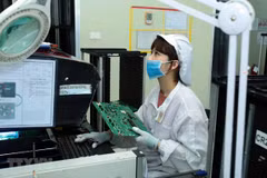 High-quality workforce crucial for Mekong Delta