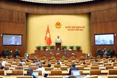 Economic restructuring plan under examination at legislature on October 30 