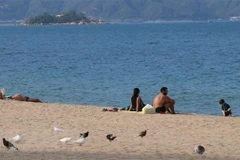 Webinar seeks to attract Spanish tourists to Vietnam