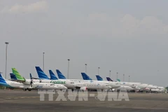 Indonesian national flag carrier reports nearly 900 million USD net loss in H1
