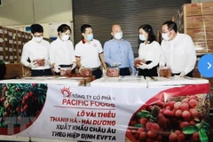 Vietnamese lychees head for EU markets