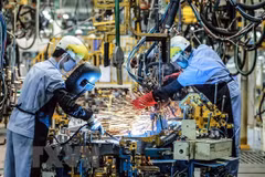 EVFTA motivates German investors to scale up projects