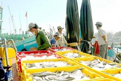 Binh Thuan fishing industry thrives amid pandemic