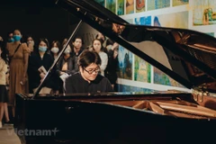Music projects to connect Vietnamese, German artists 
