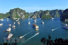 Quang Ninh maintains COVID-19-free zones for tourism recovery