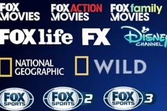 Fourteen foreign TV channels to end broadcast in Vietnam