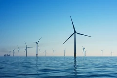 Danish Group to invest up to 13.6 billion USD in offshore wind farm in Hai Phong