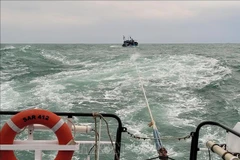 Eleven sailors in distress at sea brought ashore