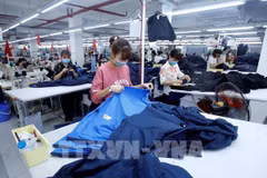 EVFTA - A catalyst for Vietnamese businesses: diplomat