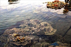 First report on maritime, insular environment released