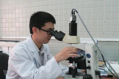 Task of designing science-technology organisation network planning approved