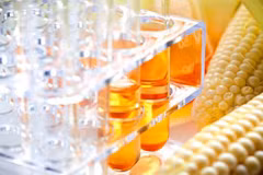  Vietnam completes anti-dumping probe into corn syrup from China, RoK
