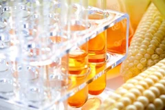  Vietnam completes anti-dumping probe into corn syrup from China, RoK