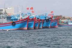 Vietnam works towards responsible, sustainable fishery sector